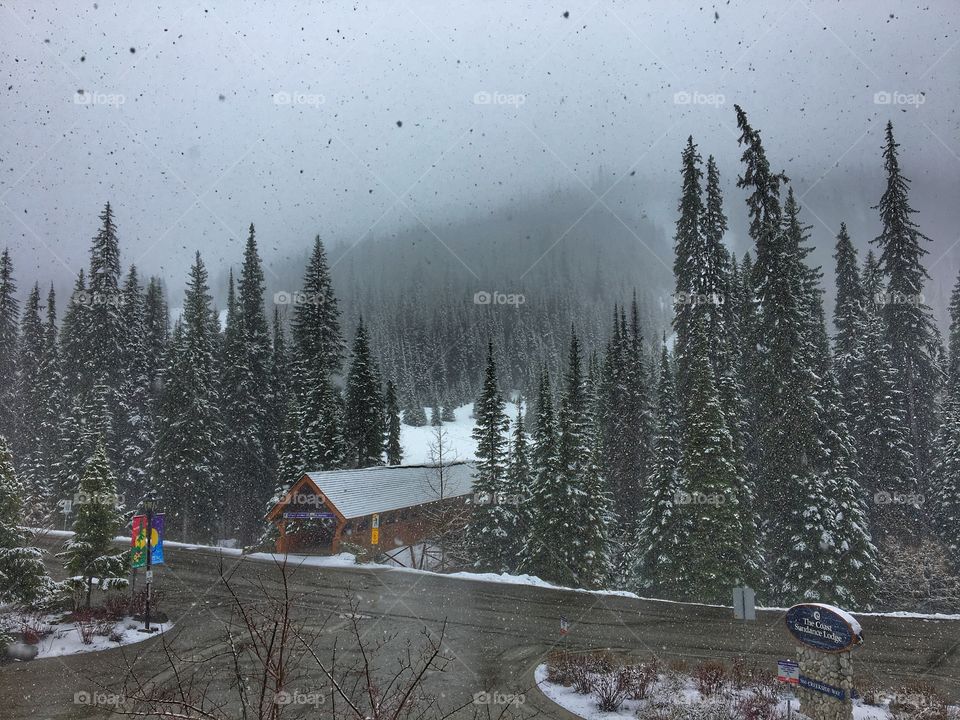 Snowing at sunpeaks resort 