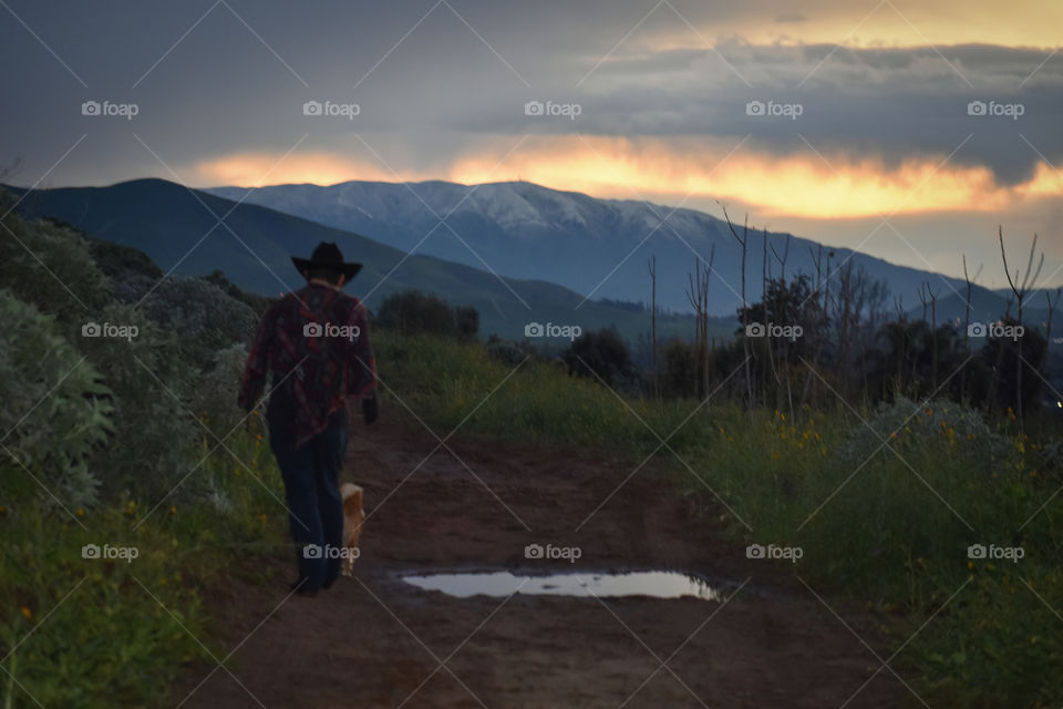 man and his dog in the country side