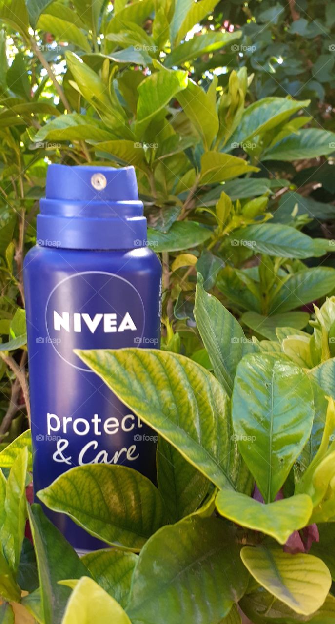 desodorante fresco nivea