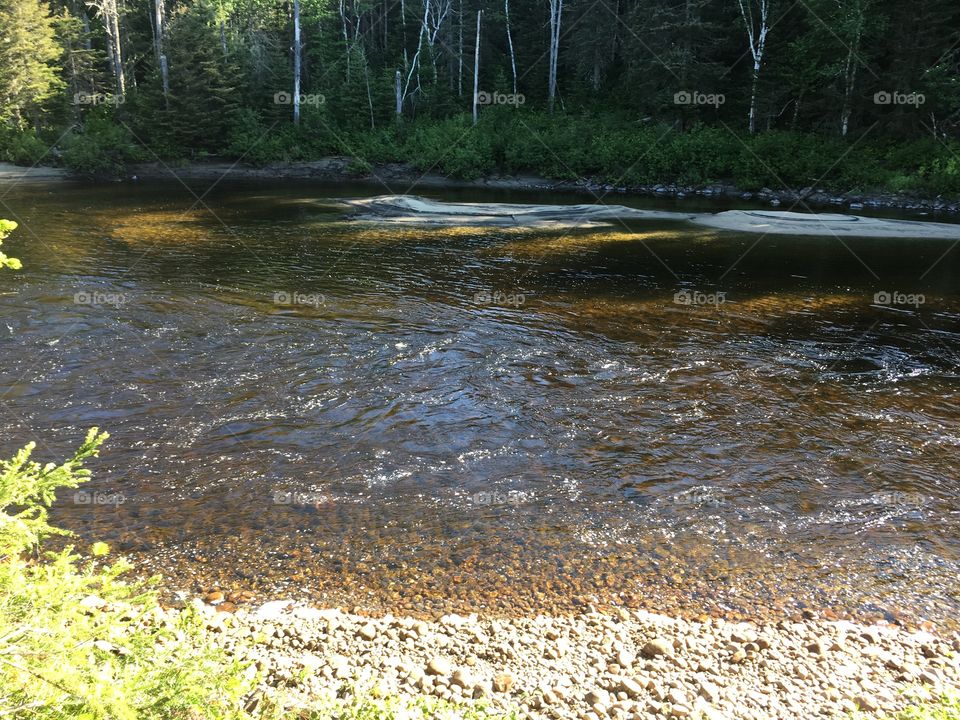 Salmon fishing river escoumins