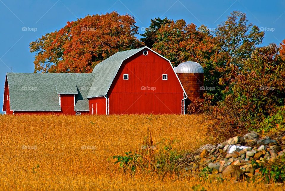 Red Barn