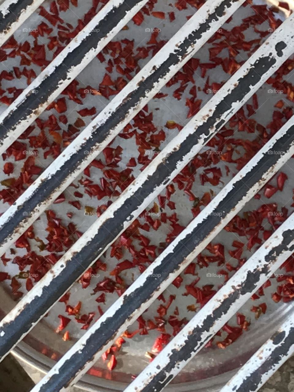 Looking closely, there are bars everywhere.