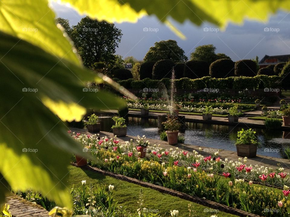 Gardens before storm