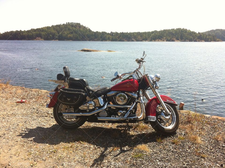 Harley at the sea