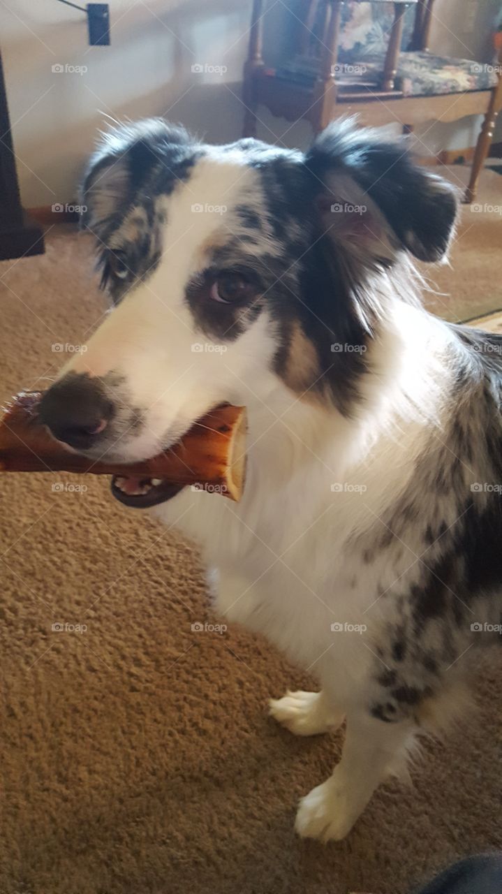 Mcgee got a new bone