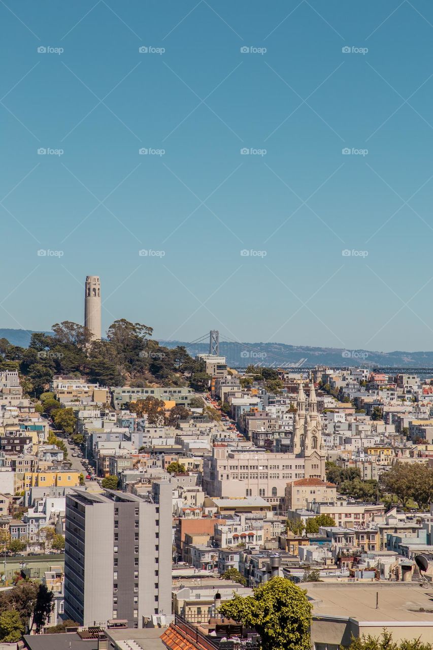 Tower of San Francisco 