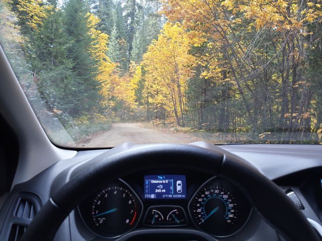 taking a drive 