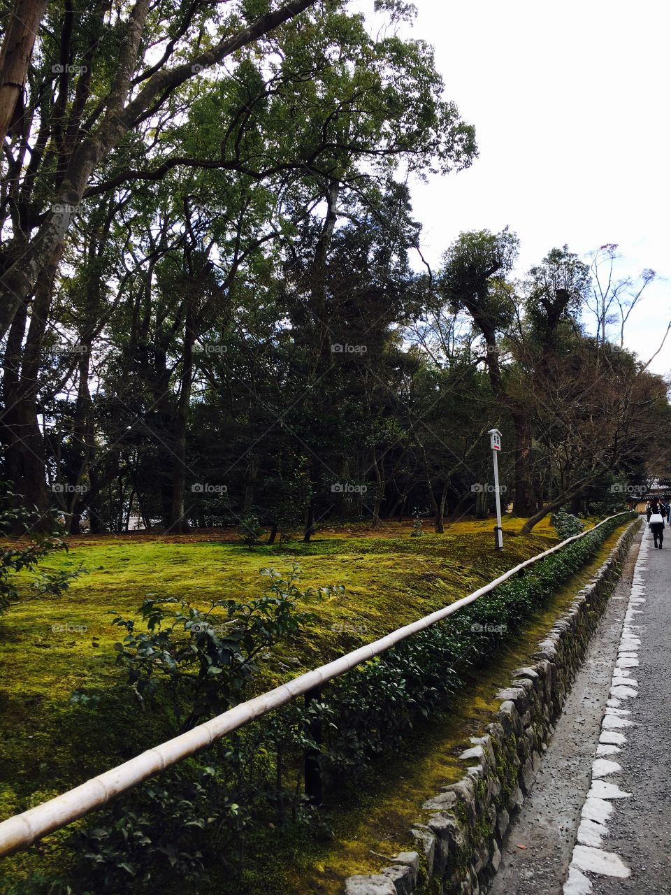 Peaceful, serene, off-the-beaten-path street leading to a temple. Quiet and breathtaking 