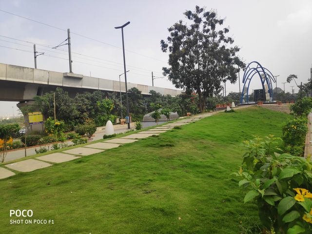 grass