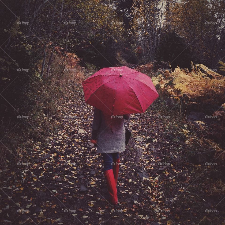 Umbrella, Rain, Fall, Girl, People