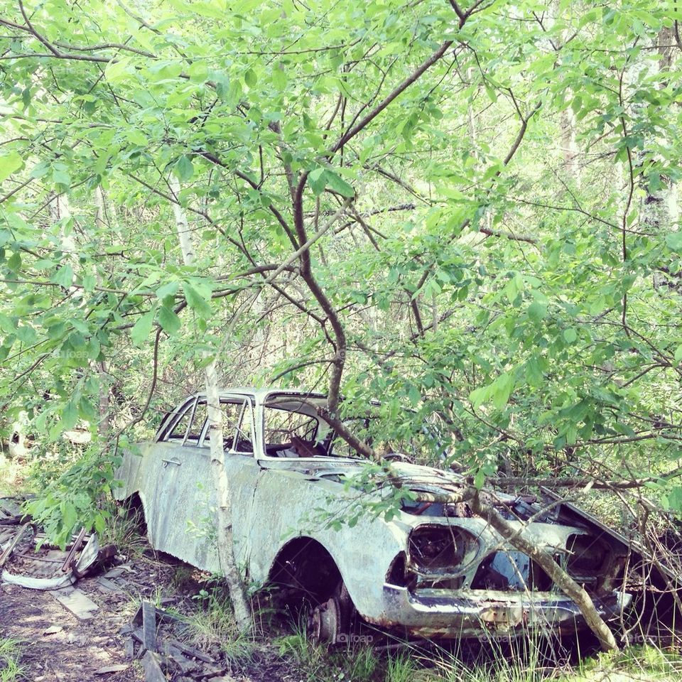 Old abandoned car.