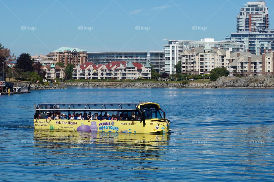 Is it a bus or a boat ? It’s both ! 