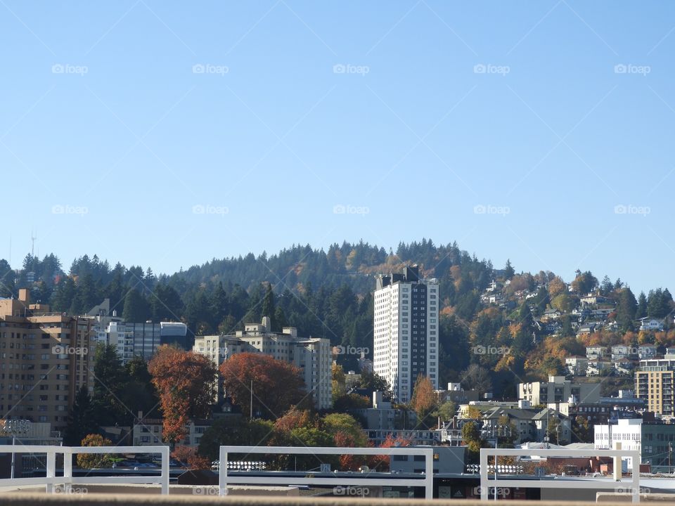 Downtown Portland in the fall. The leaves had begun to change and they really contrast well off the silver buildings. 