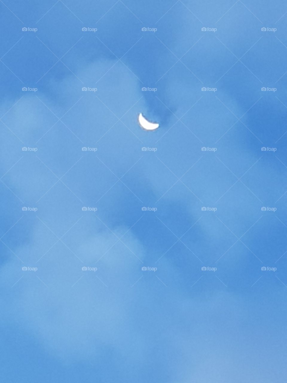 moon in the morning  sky