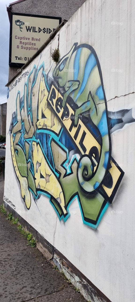 welcome to the reptiles!