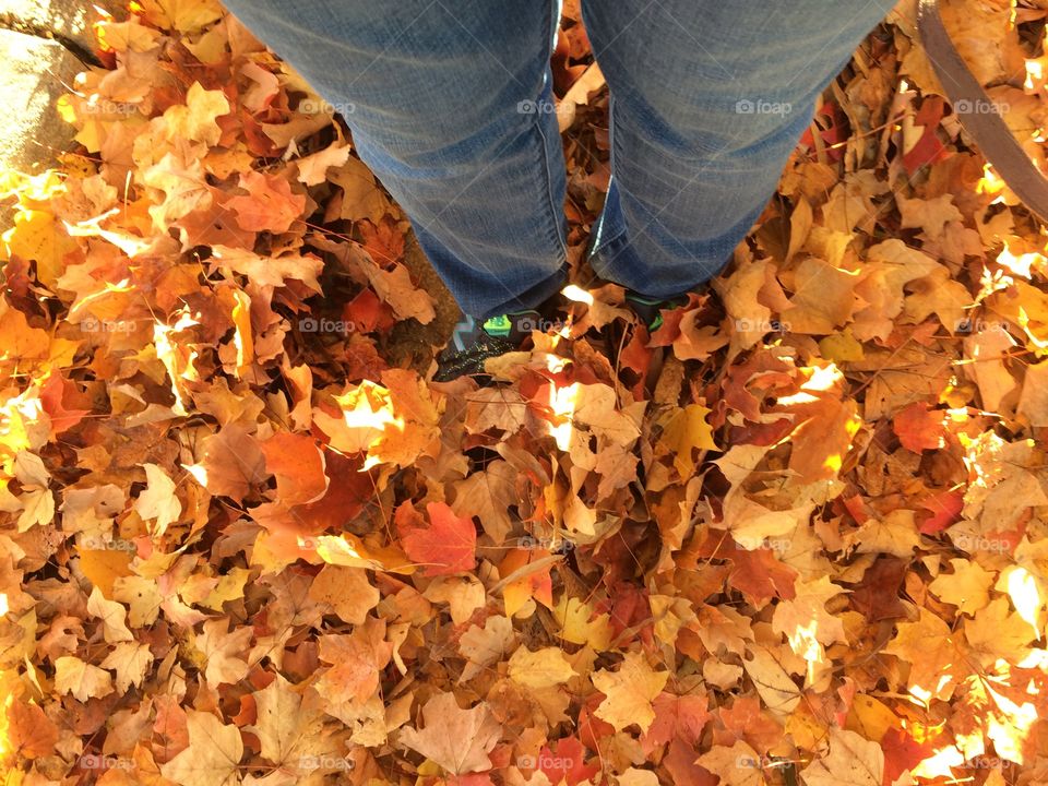 Feet in Orange Leaves