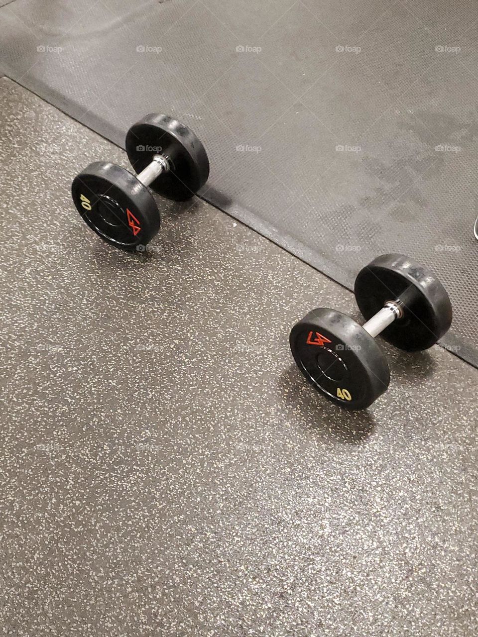 Forty Pound Dumbbells at Gym