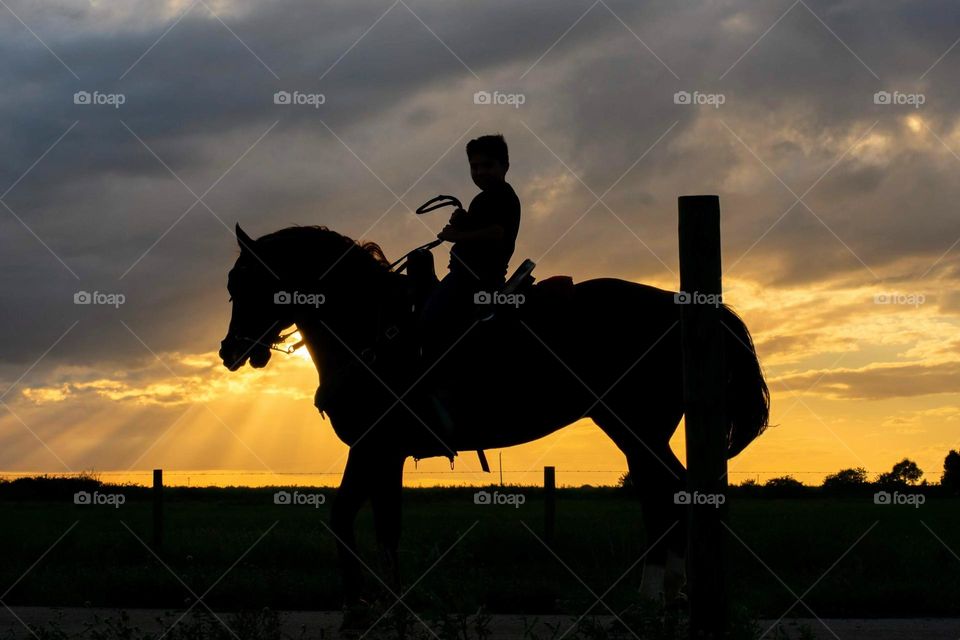 Sunset and Horse