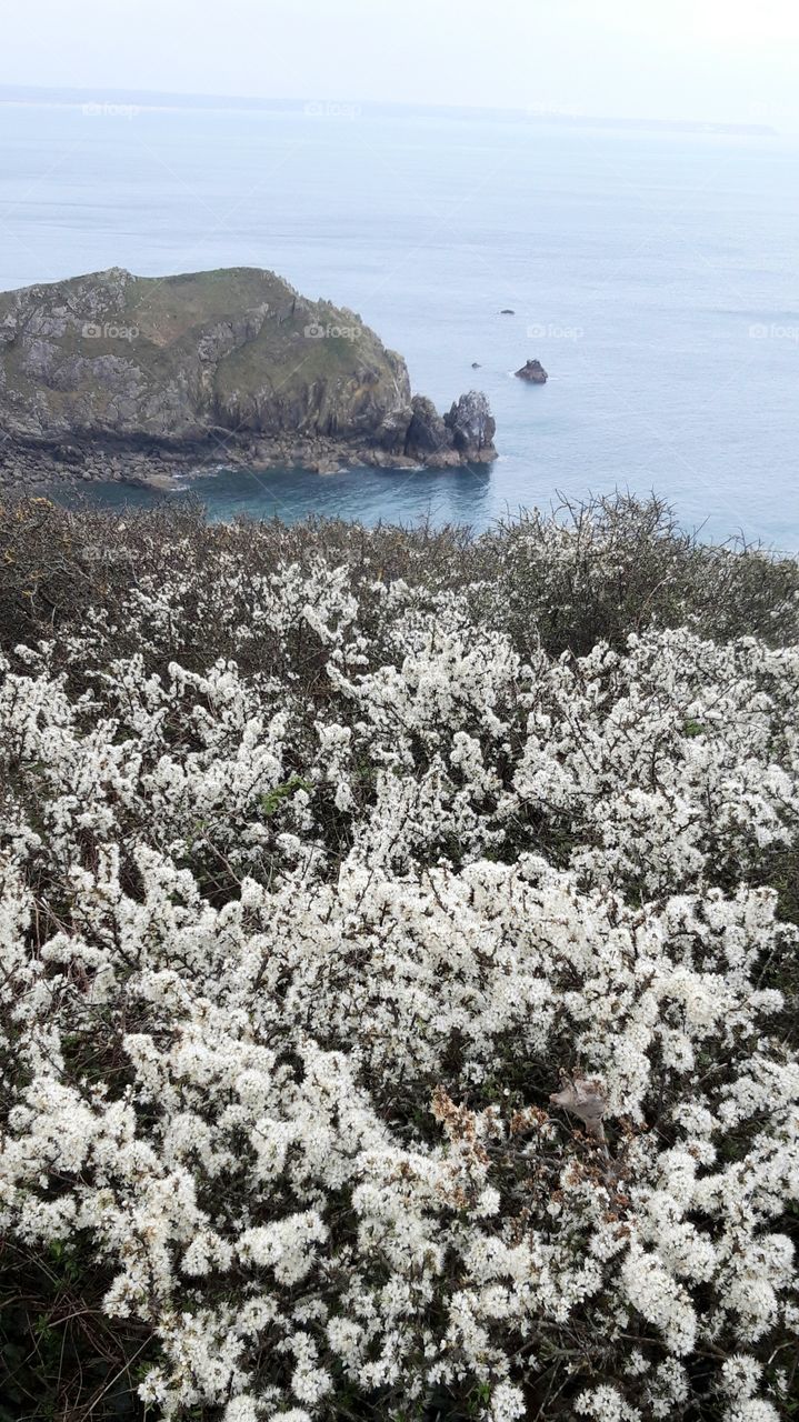 Nez de Jobourg Normandy