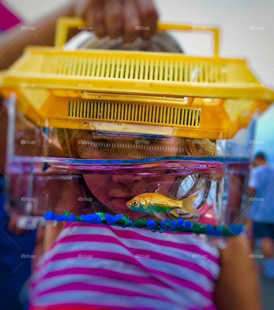 A little girl holding aquarium in front of her face