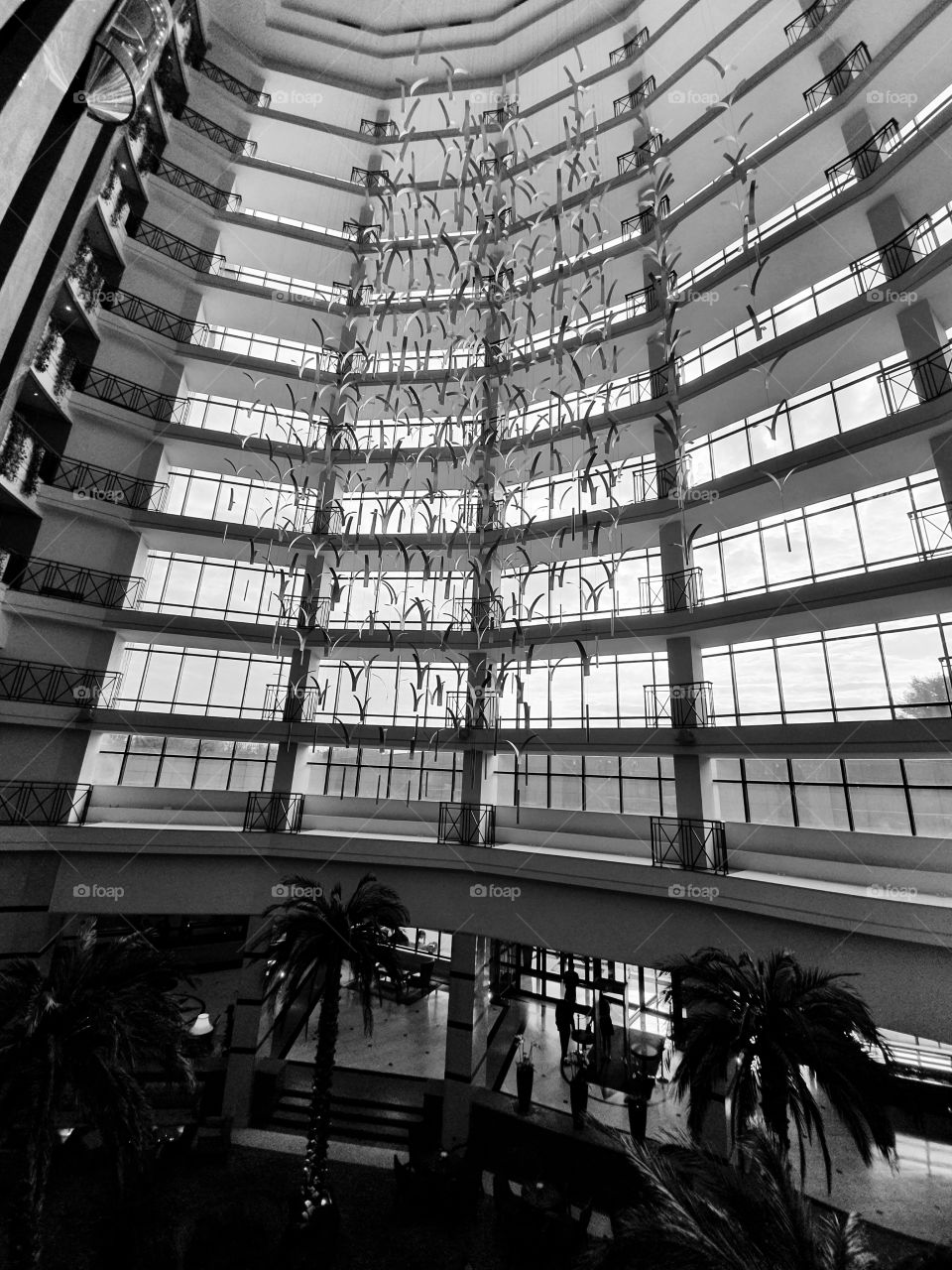 hotel internal view windows and decoration