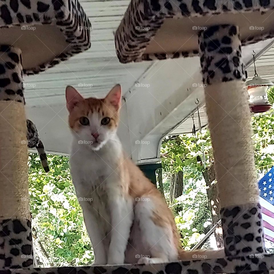 well hello there are you going to feed me anytime soon? you know I'm hungry.