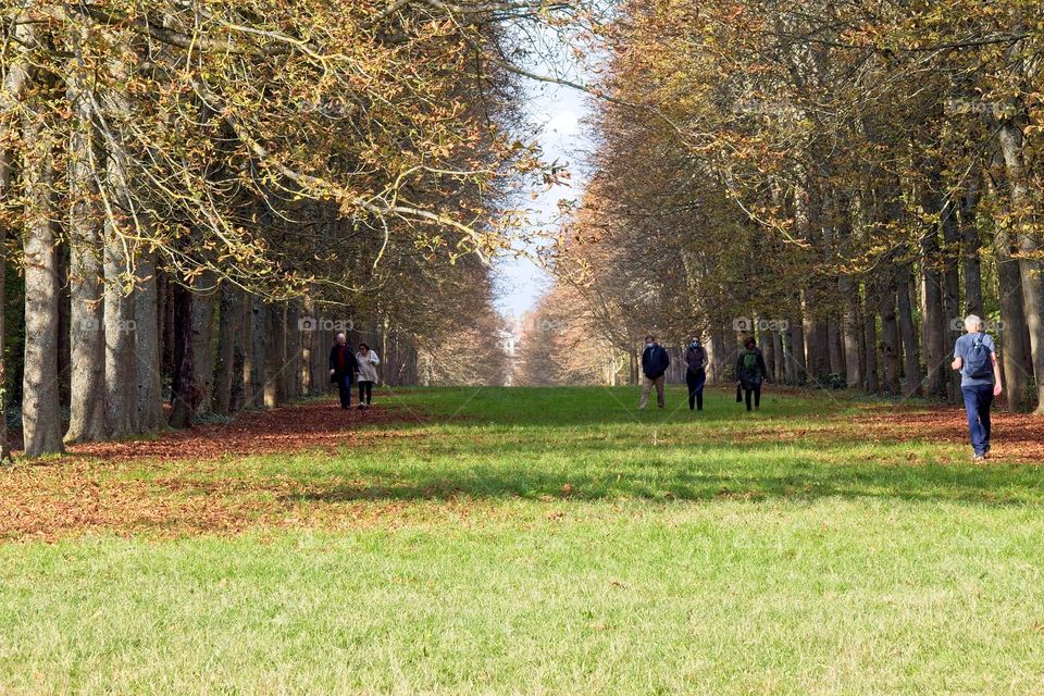people walking in the park