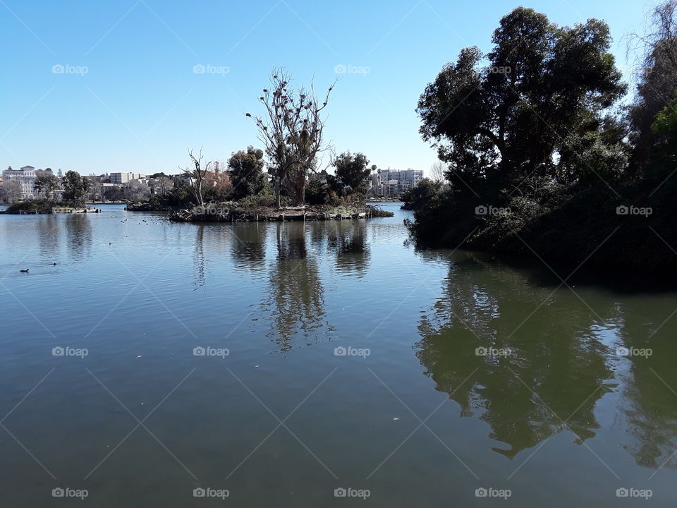 Water, Tree, Landscape, Lake, Reflection