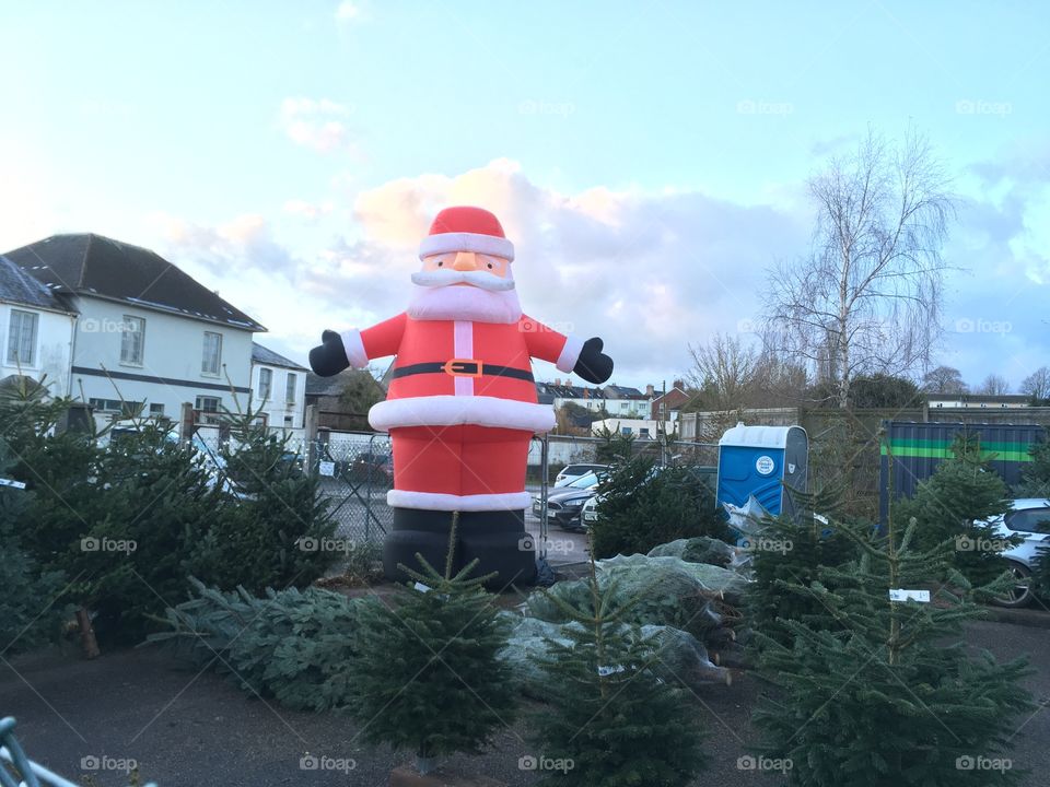 Giant Father Christmas overseeing the sales of Christmas trees.