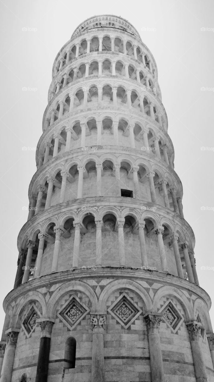 torre di Pisa. meet point for the our international family .