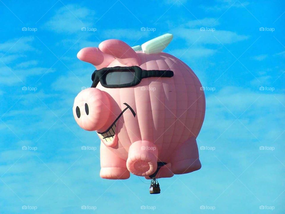 When Pigs Fly