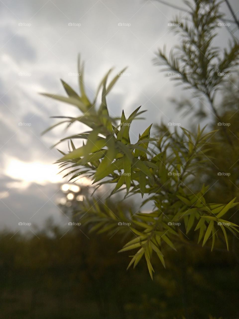 Another day, another sunrise