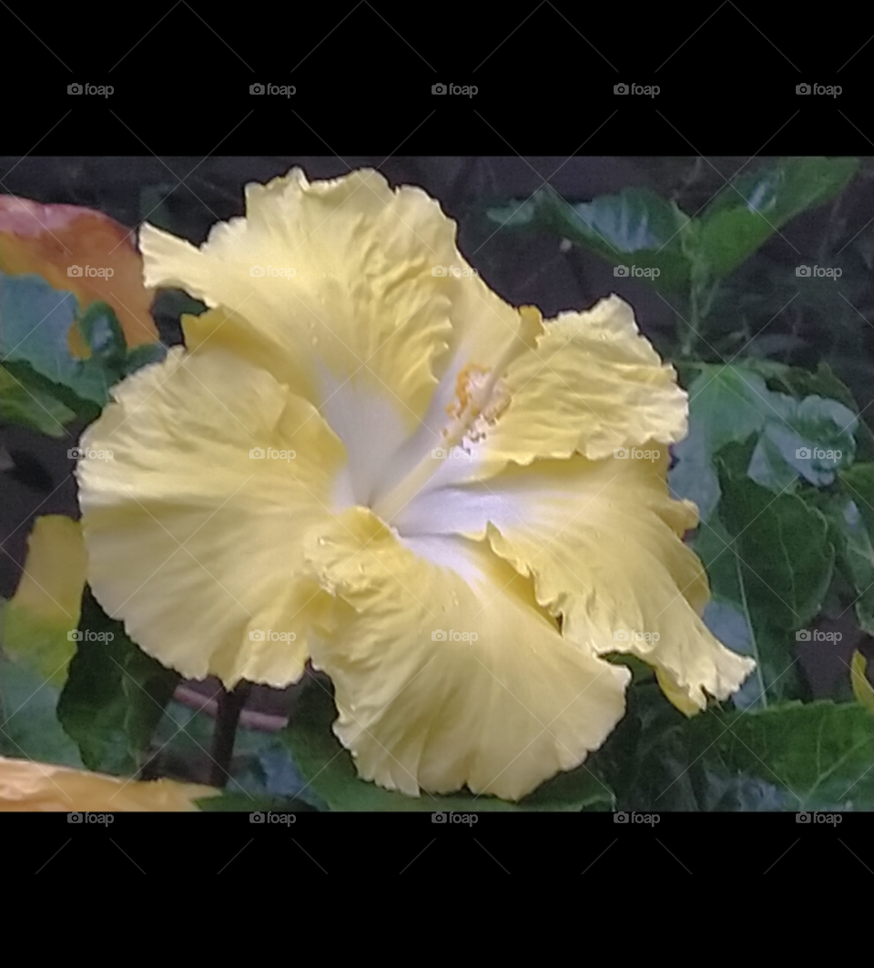 What the eye can see is sometimes more beautiful than what any amount of money can buy.