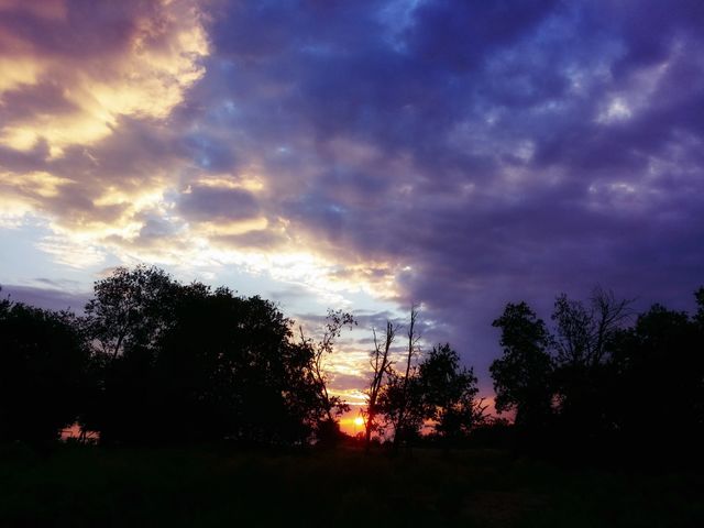Trees silhouetted against a purple sky and orange sunset