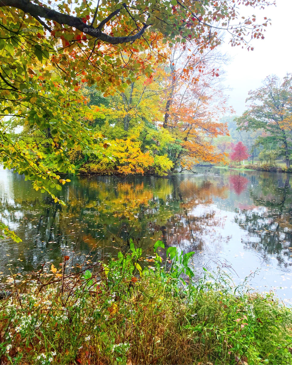 Colors of green