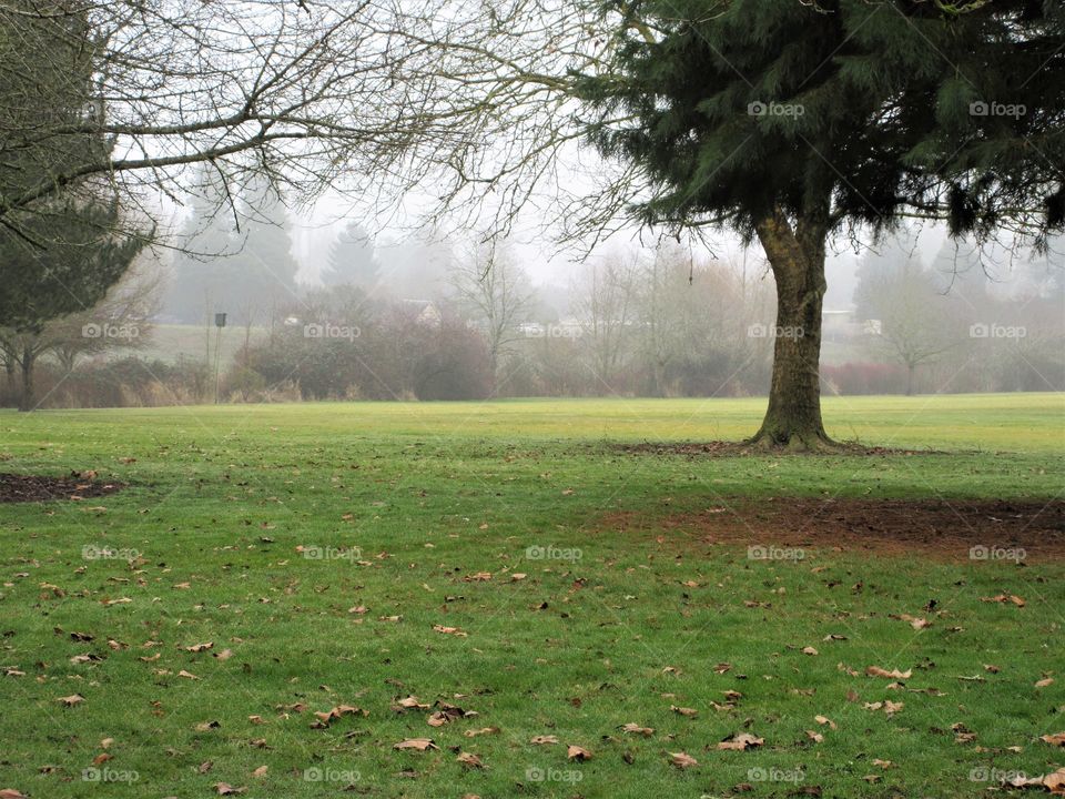 misty background at park