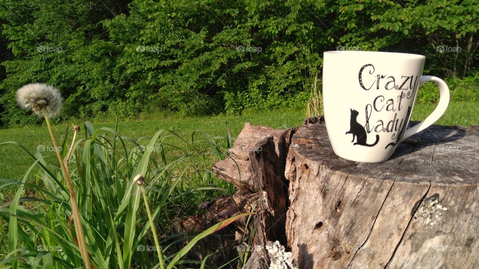 Coffee in the Meadow with the Birds