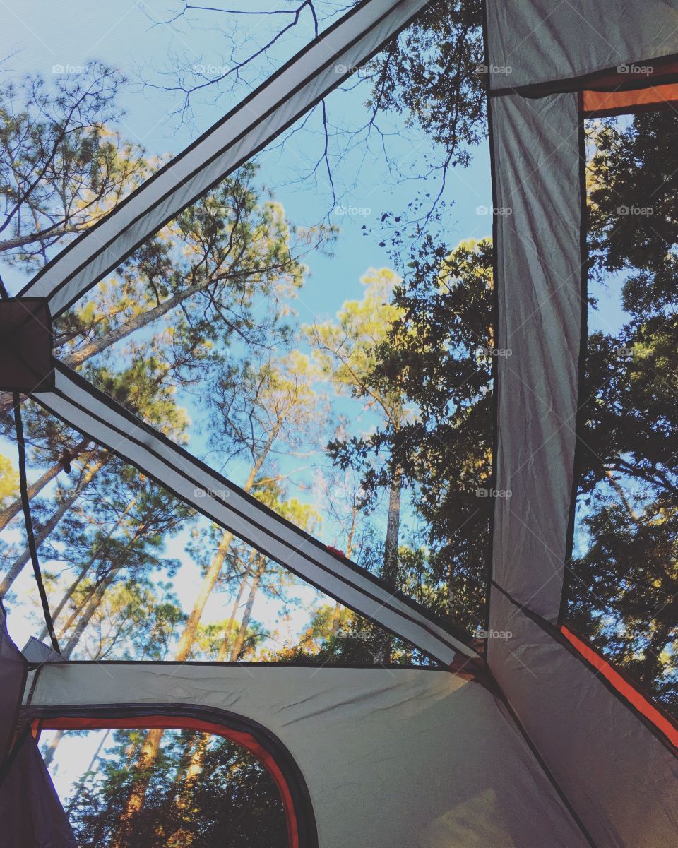 My view waking up camping