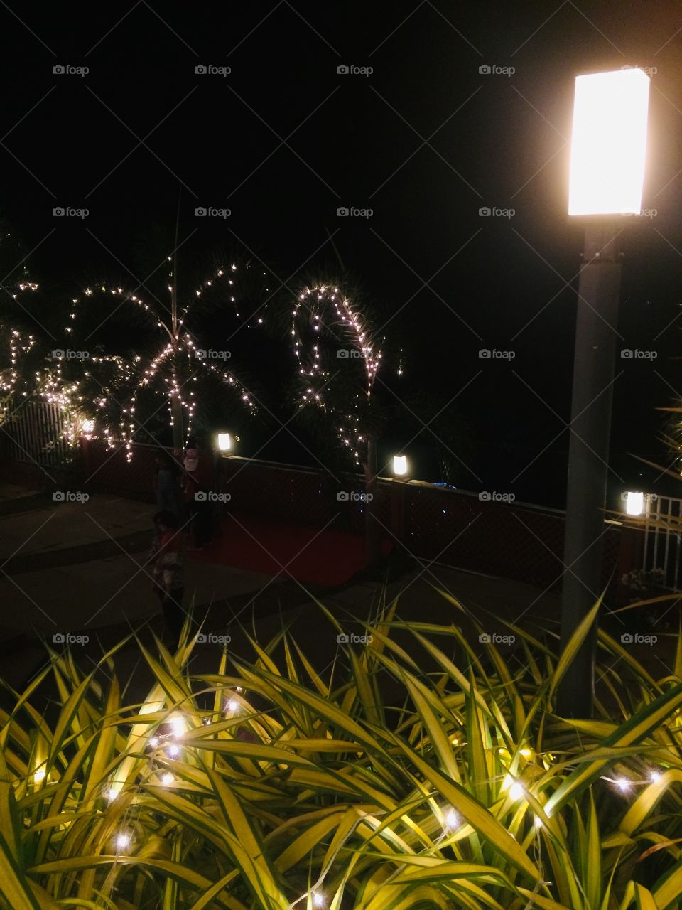 Marriage night lights