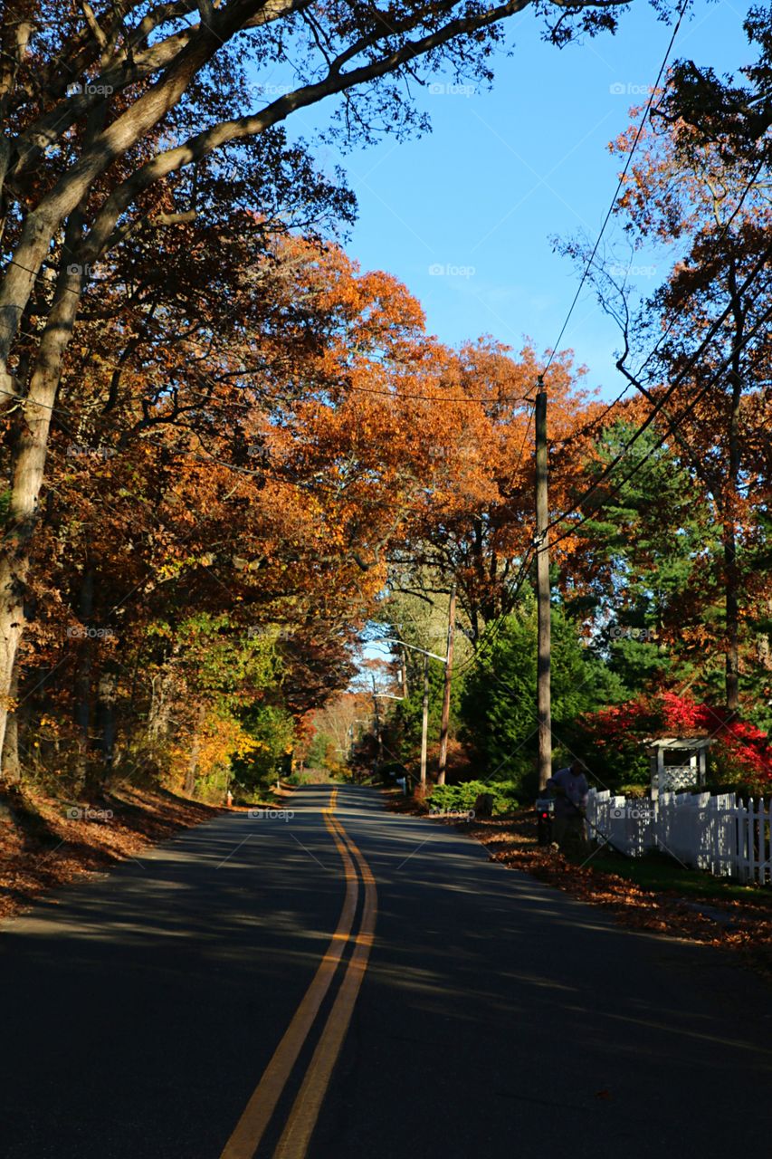 A quiet road on a beautiful autumn day.