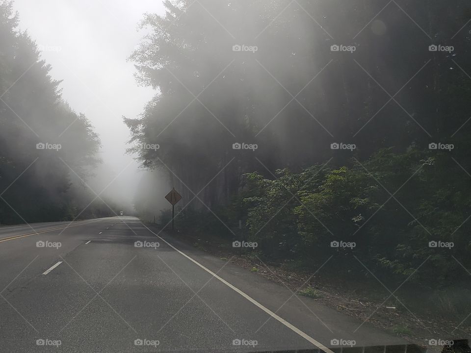 road trip fog