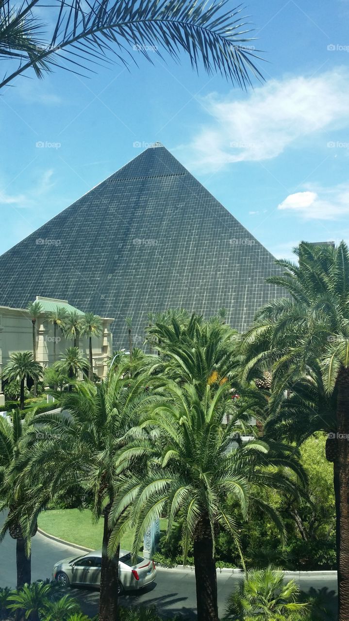 Pyramid building palm trees building Hotel