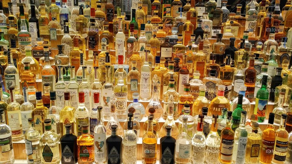 Expansive Collection of Tequila