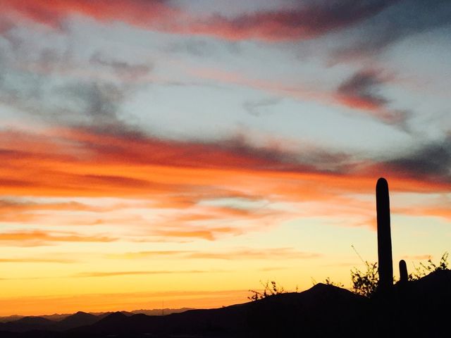 Desert Sky