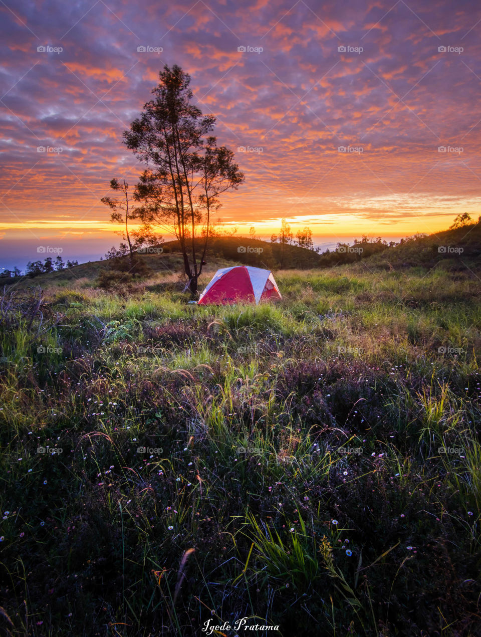 Beautiful morning camping mountain
