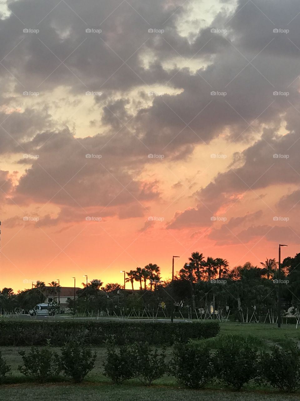 Florida marina sunset