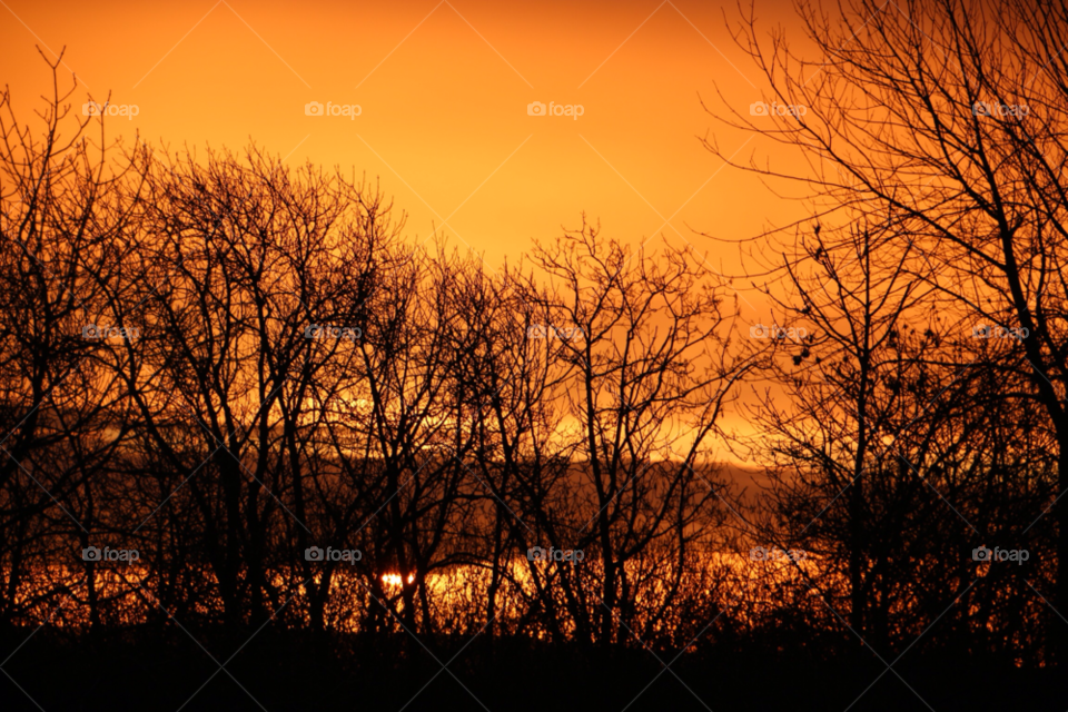sky sun trees sunrise by Jan