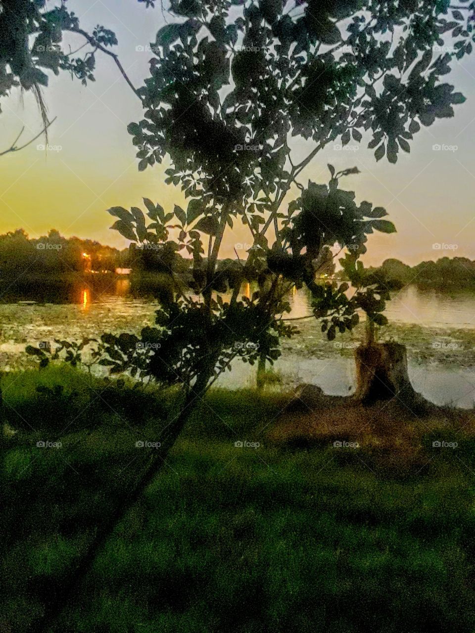 serenity at dusk on lakeshore.