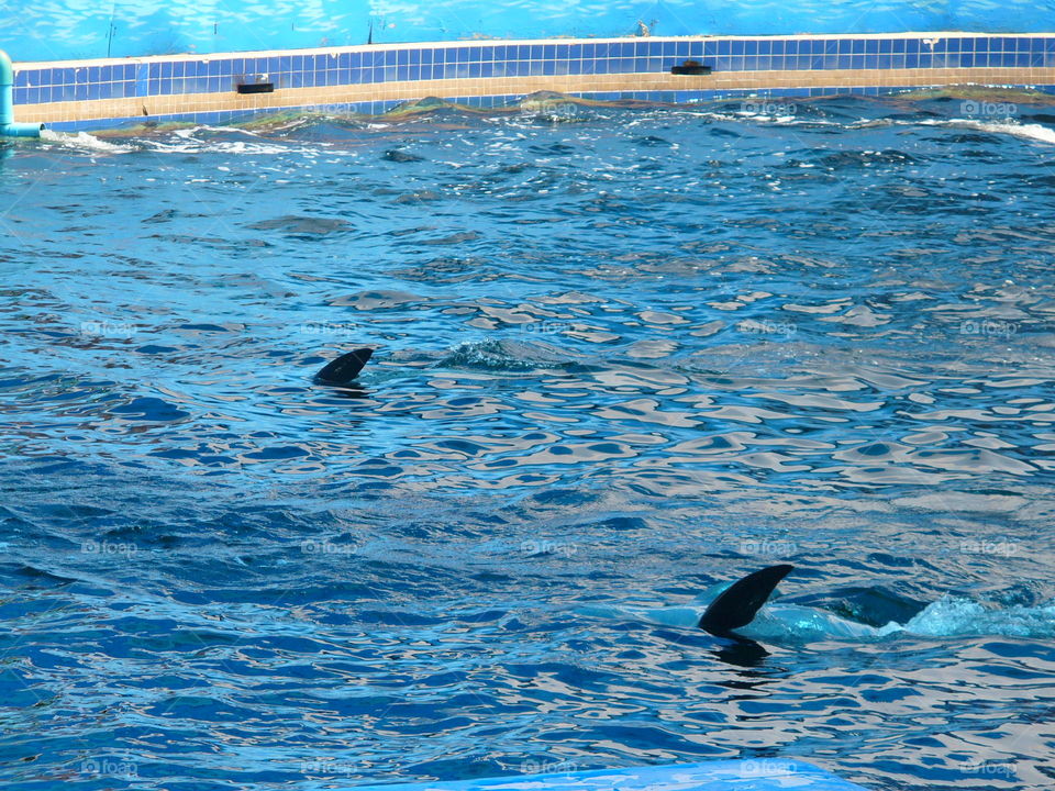 Water, Swimming, Sea, Dug Out Pool, No Person