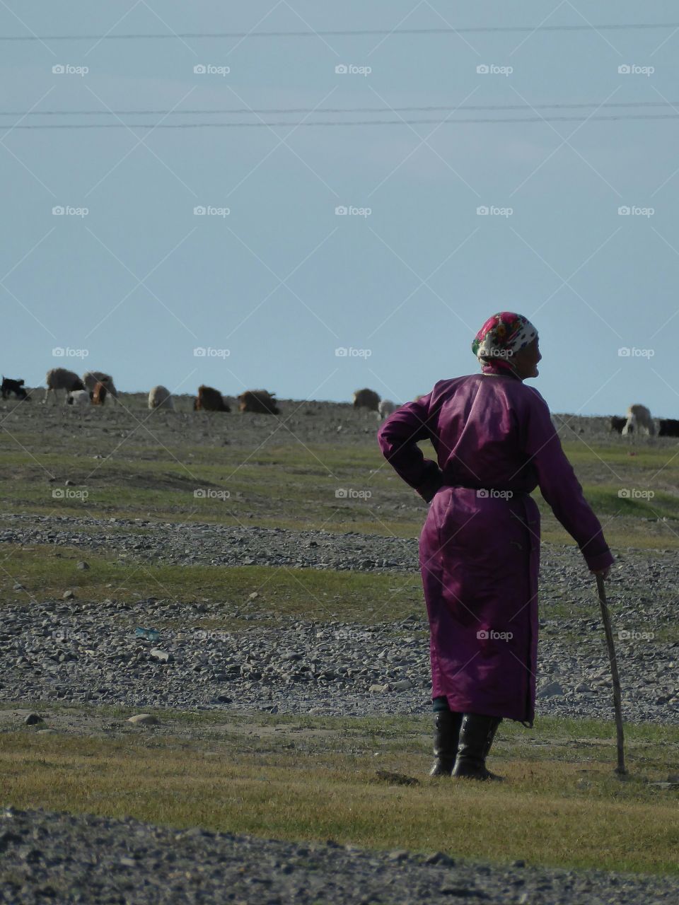 nomad elder watching over the animals